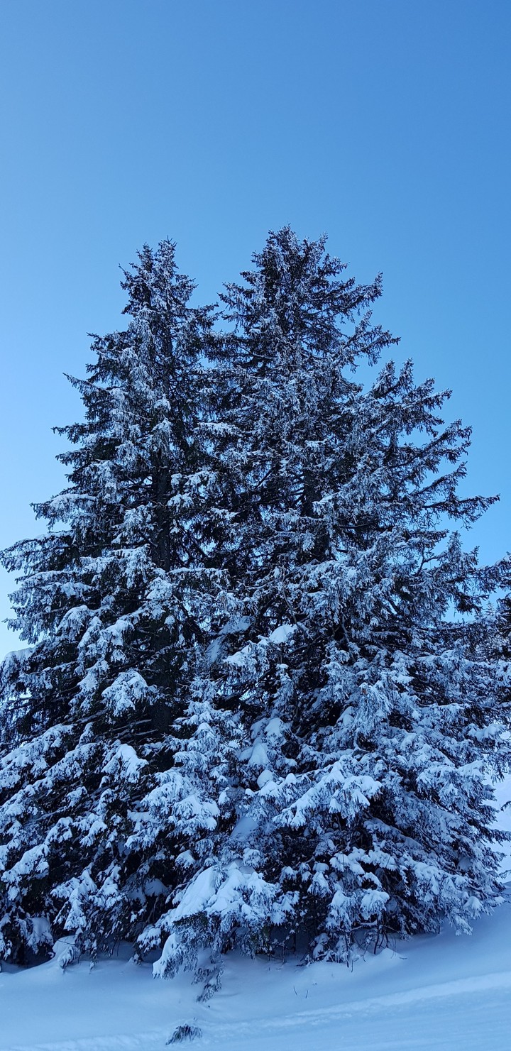 snow