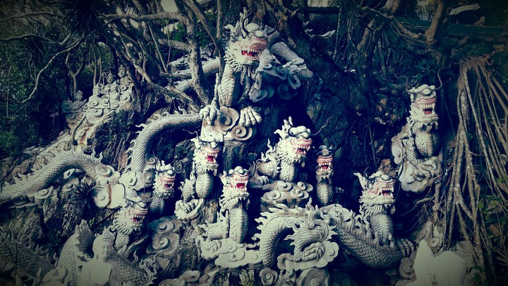 Dragons