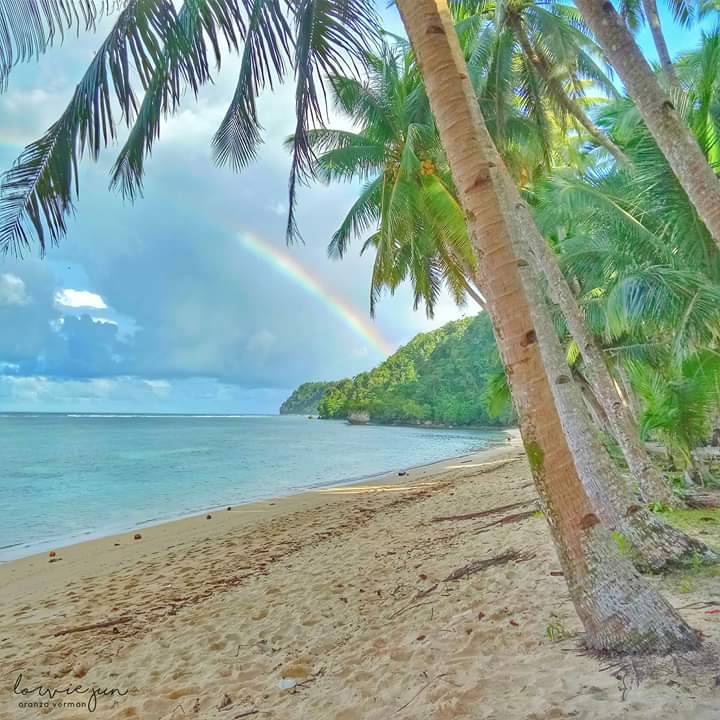 paradise
