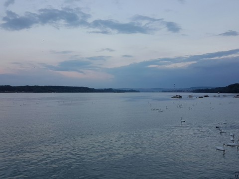 Zemun