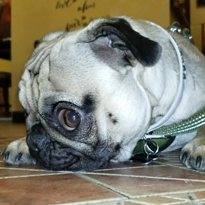rico