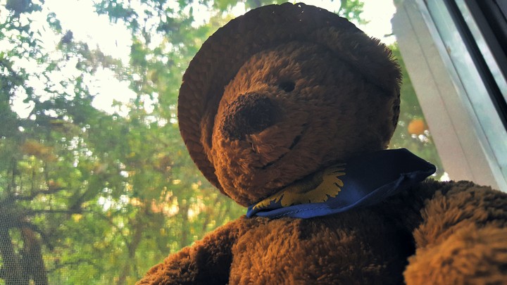 beary