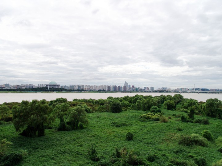 Scenics