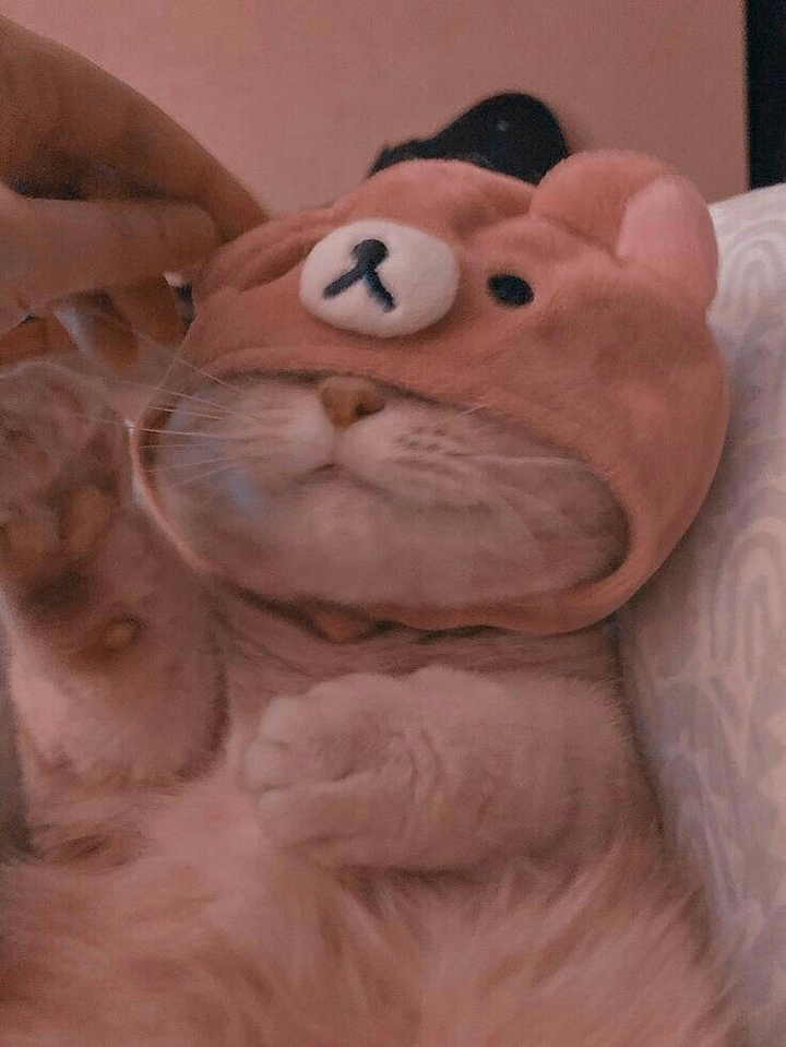 Bebito