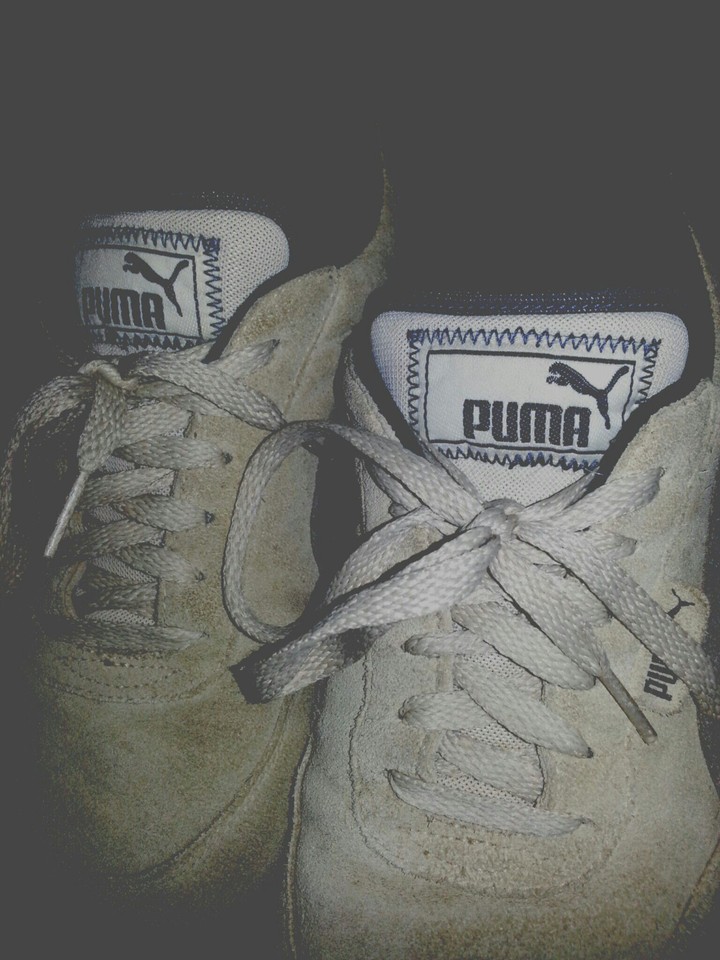 puma