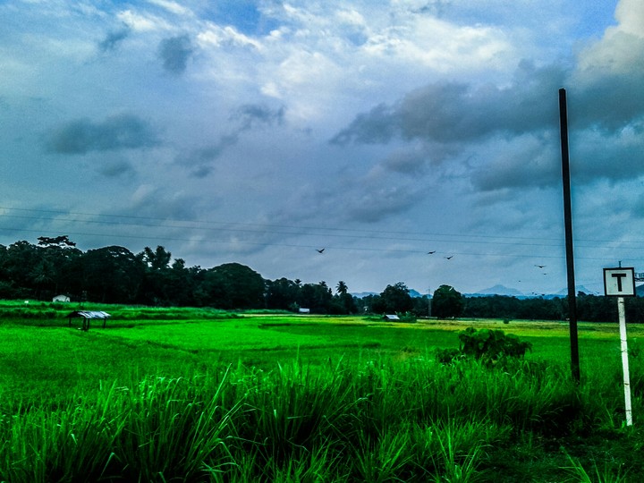 Sri Lanka