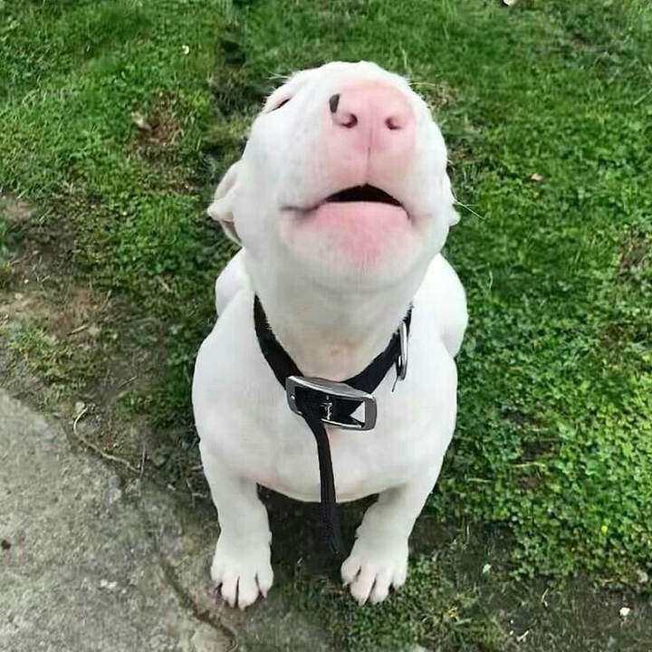 ♥️♥️♥️