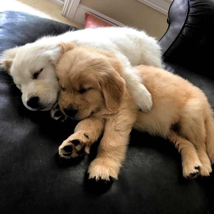 very cute