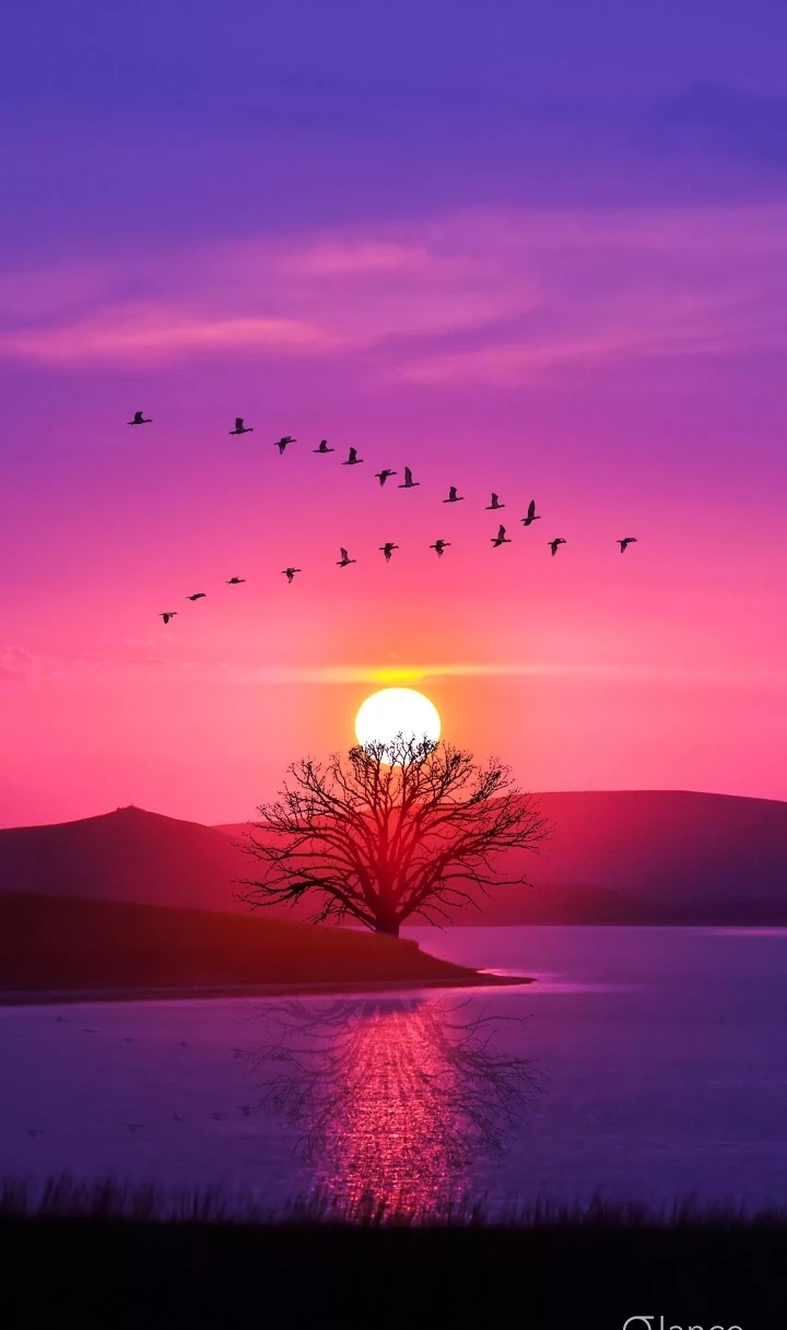 sun set