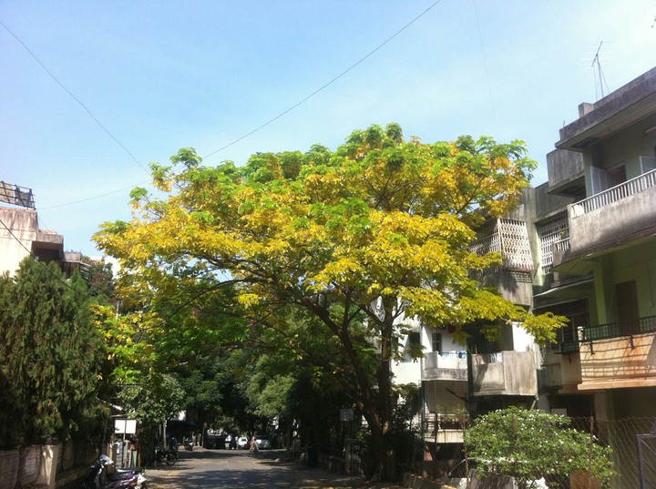pune_city_beauty