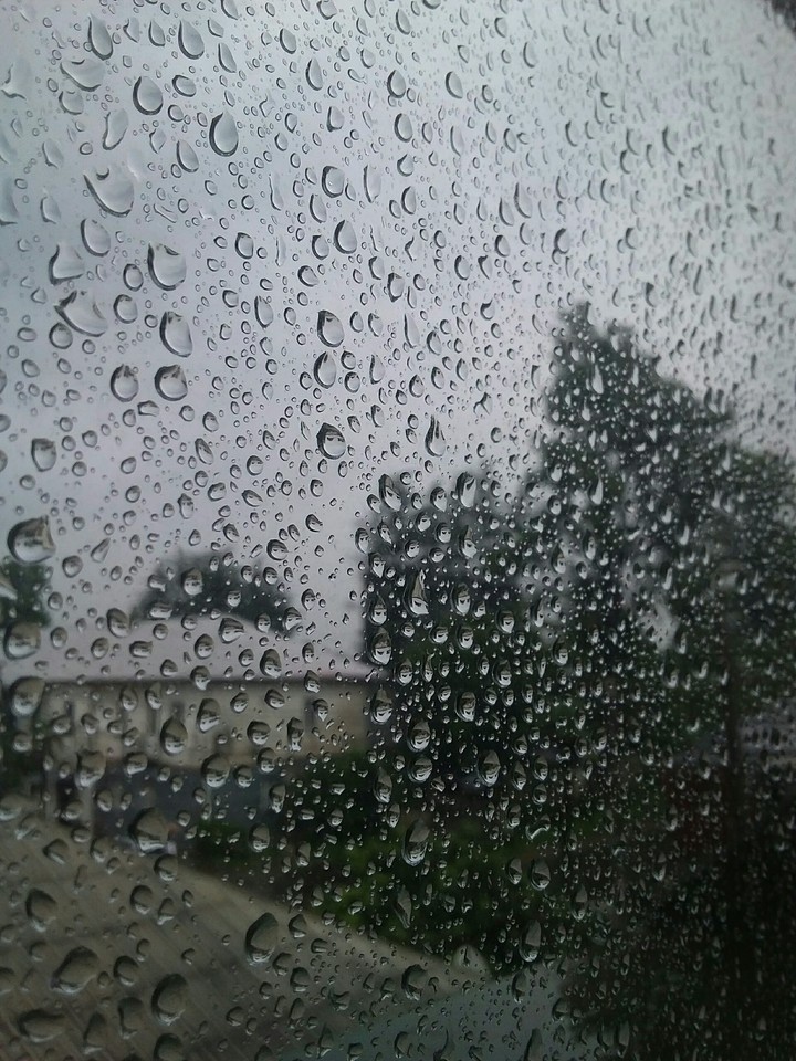 Rainy day