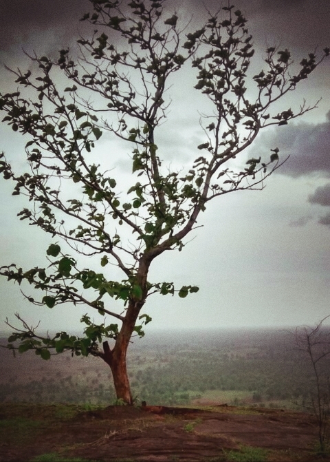 alone