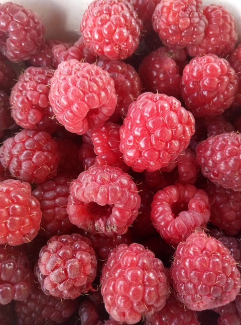 raspberry, boysenberry桌布