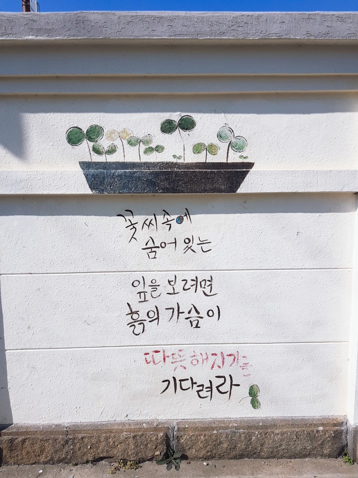 꽃 씨
