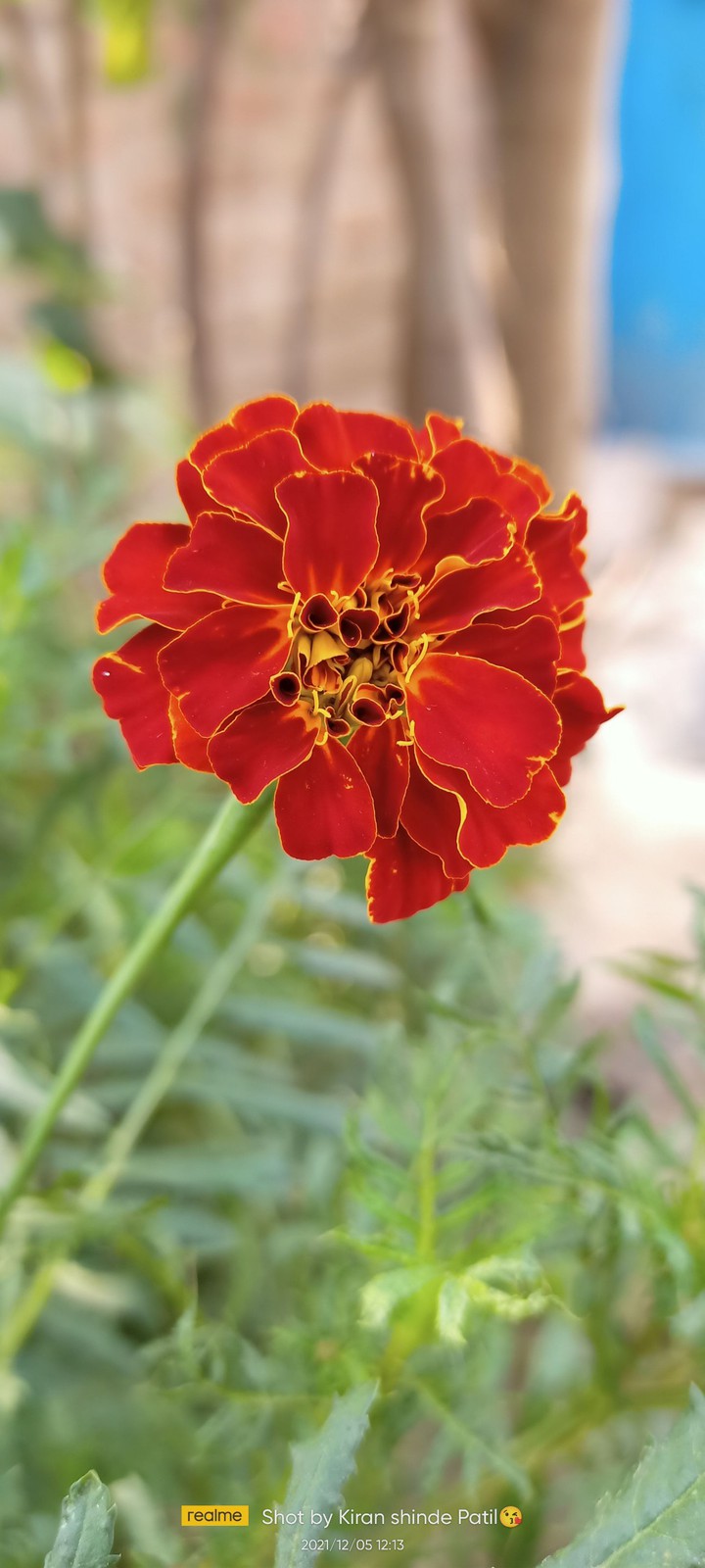 click by Realme 6