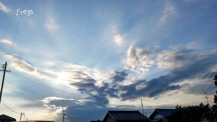羽ばたく