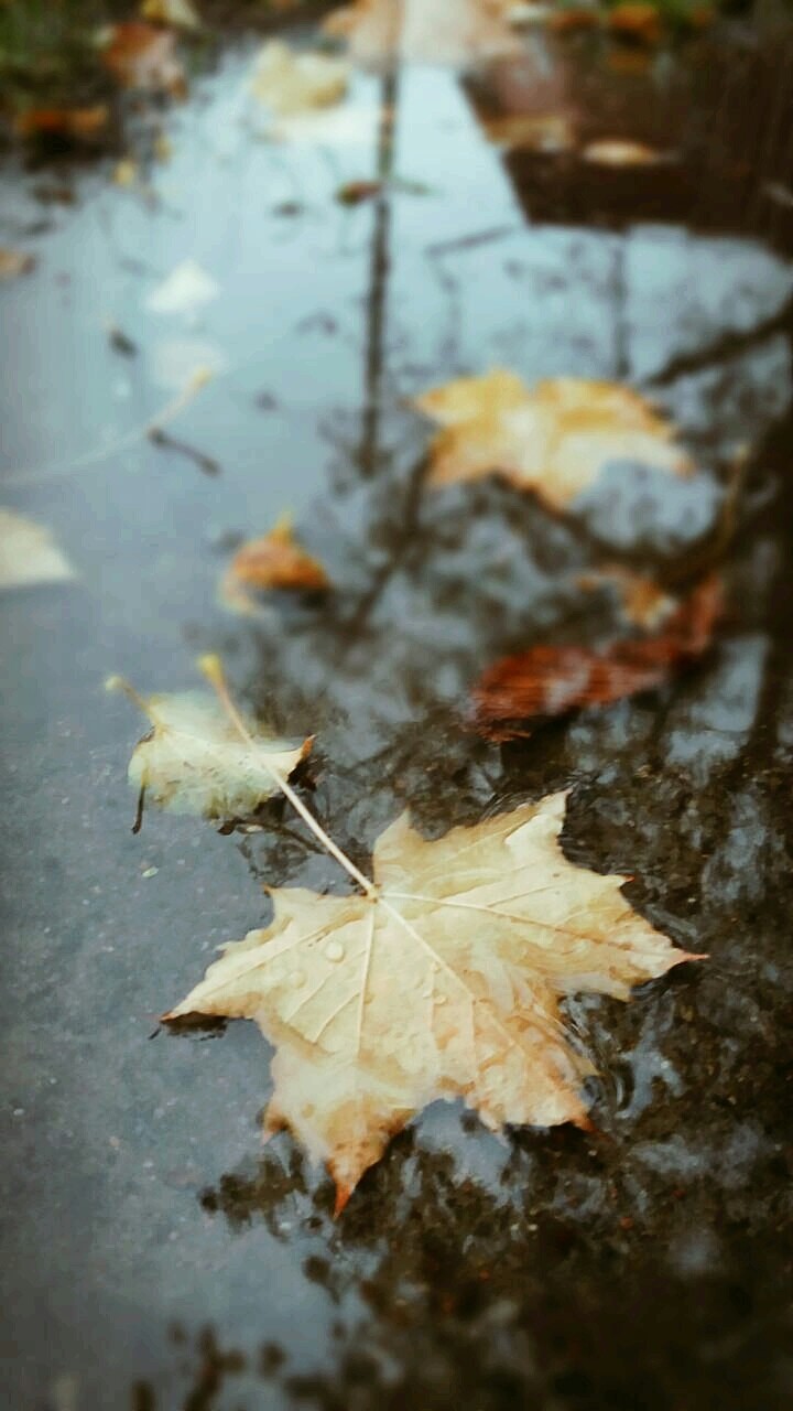 любимка❤