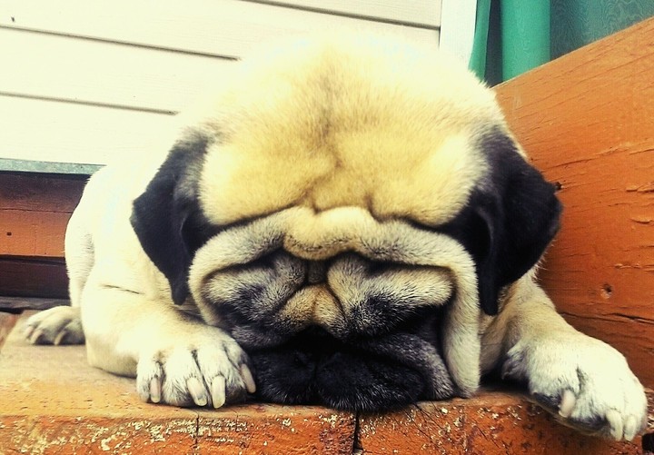 He's so cute, when sleeps