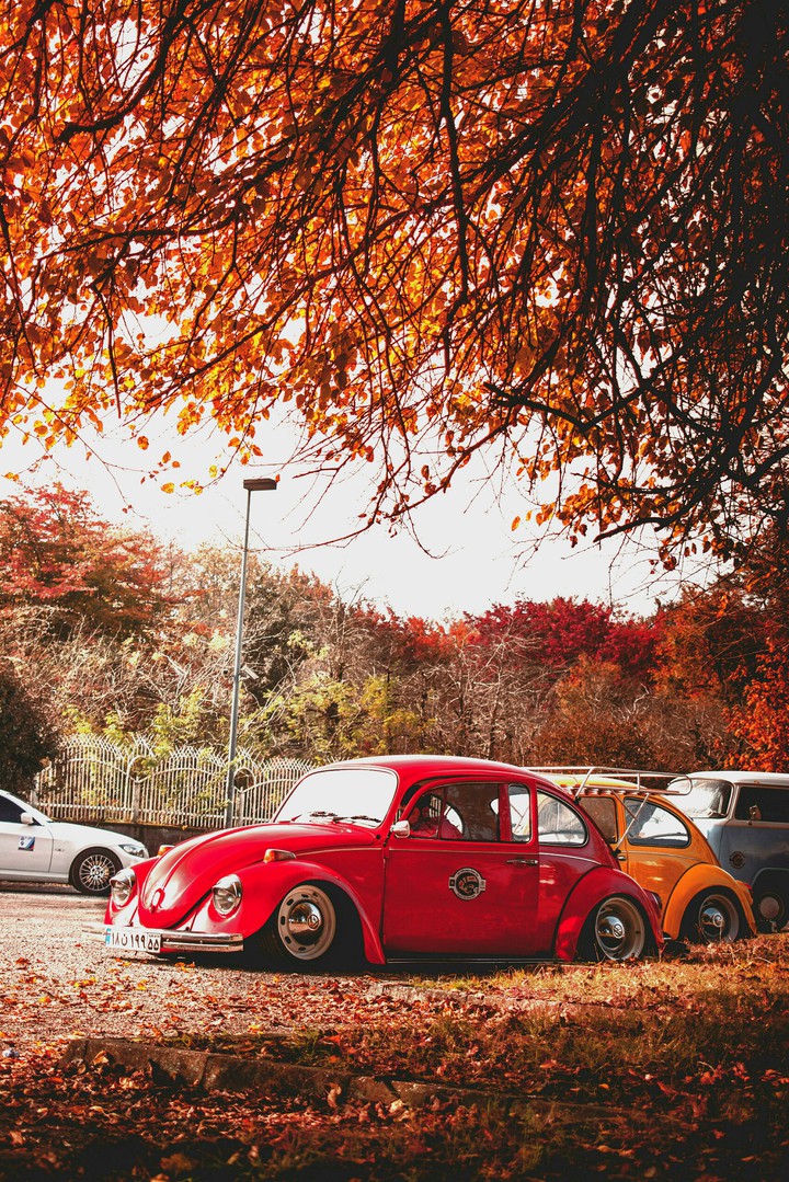 volkswagen⚘