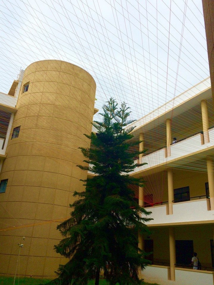 Christmas tree