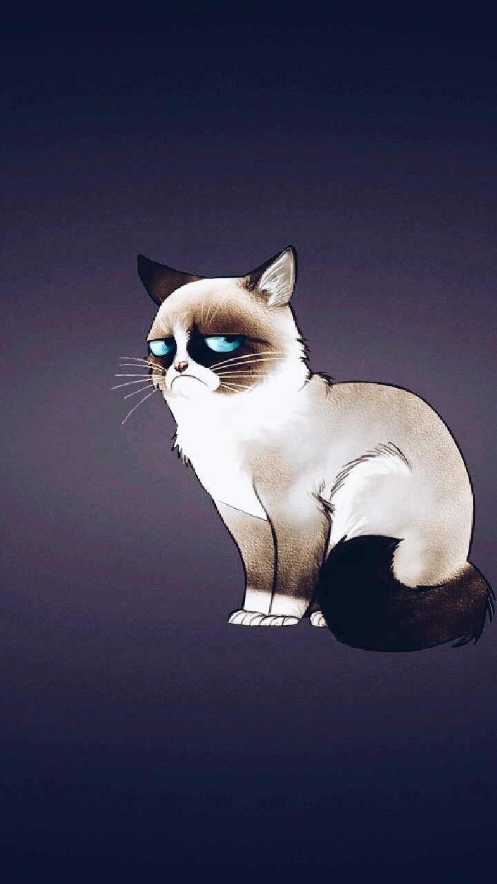 Grumpy Cat