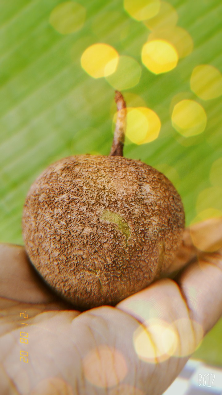 CHIKKO