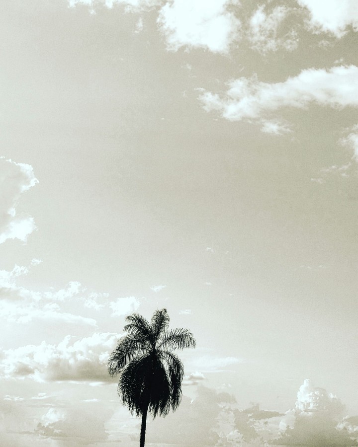 black and white