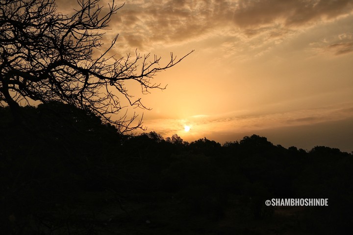 morning sunrise