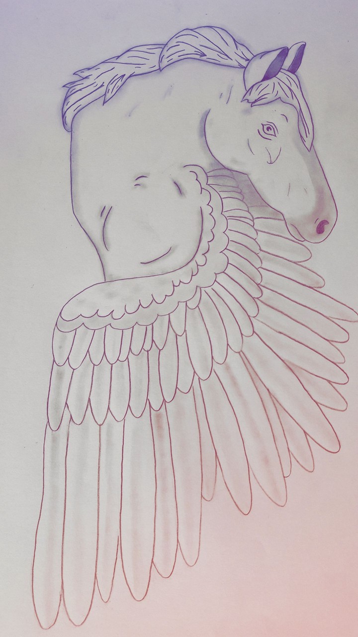horse