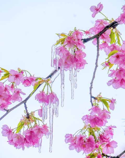 Spring