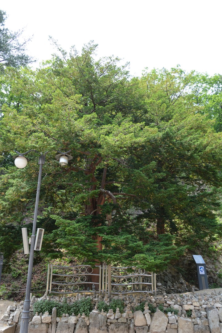 오봉산이미지