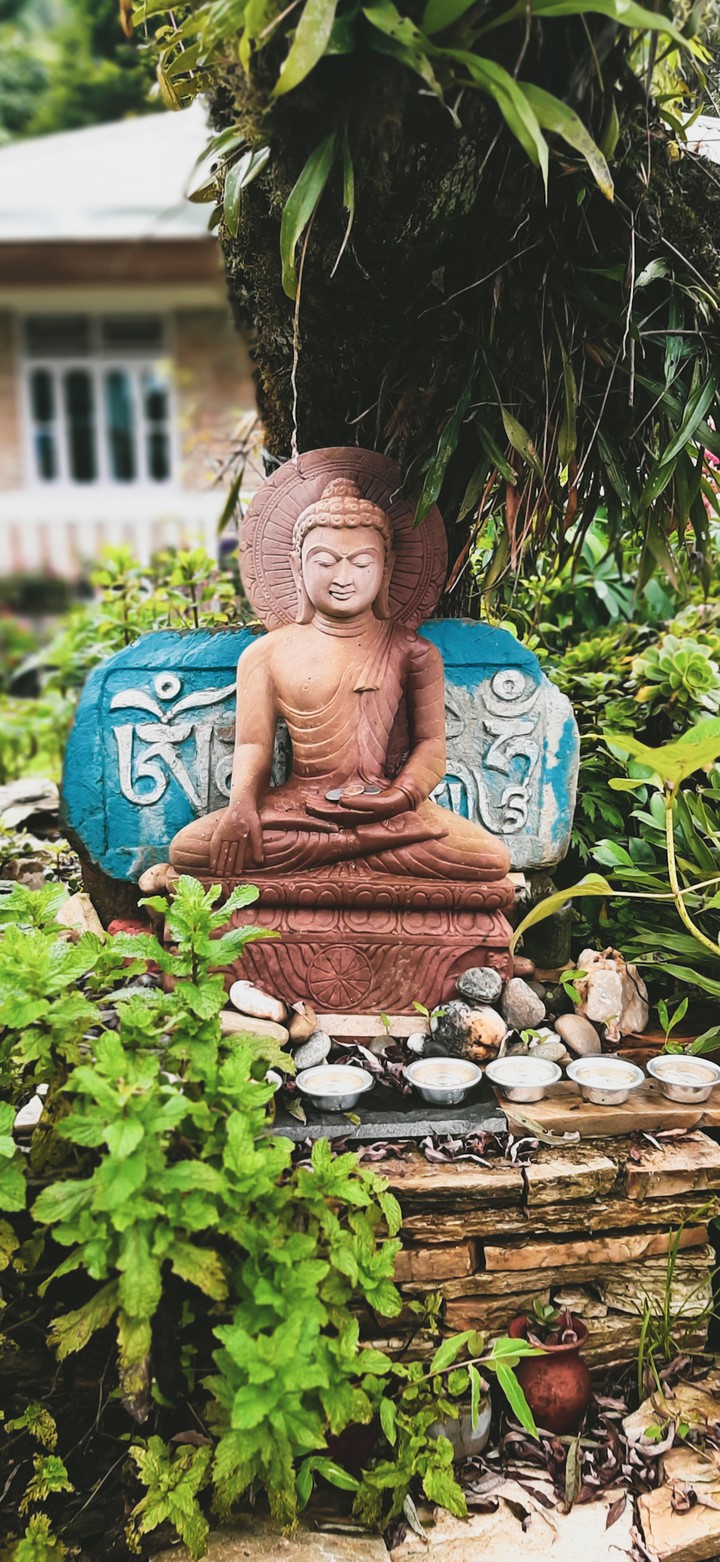 PEACE