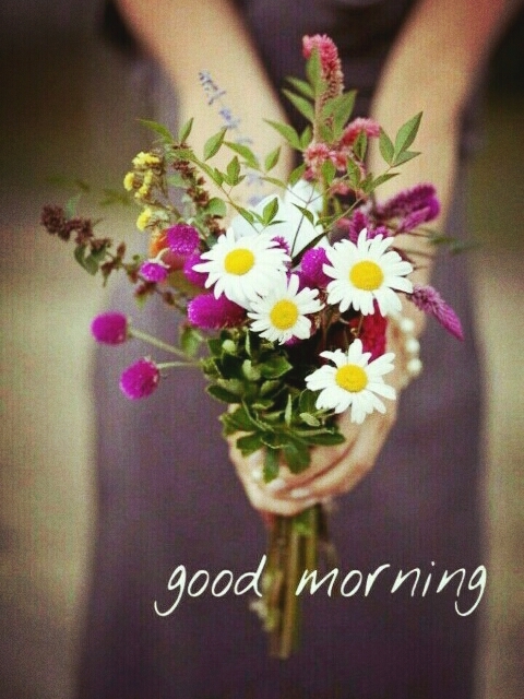 good morning!
