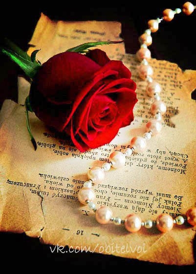 rose