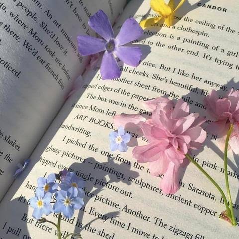 My kind of Aesthetic