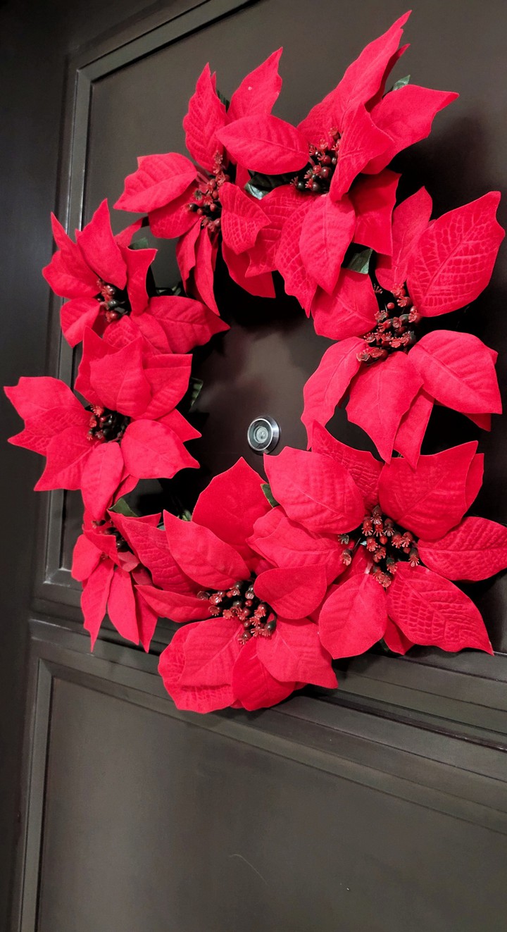 Red Flowers