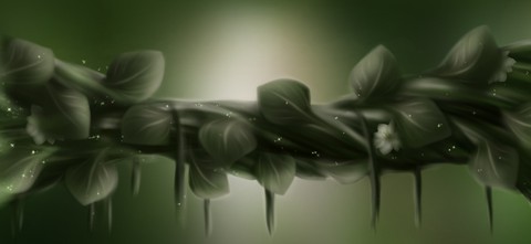 plant, event wallpapers