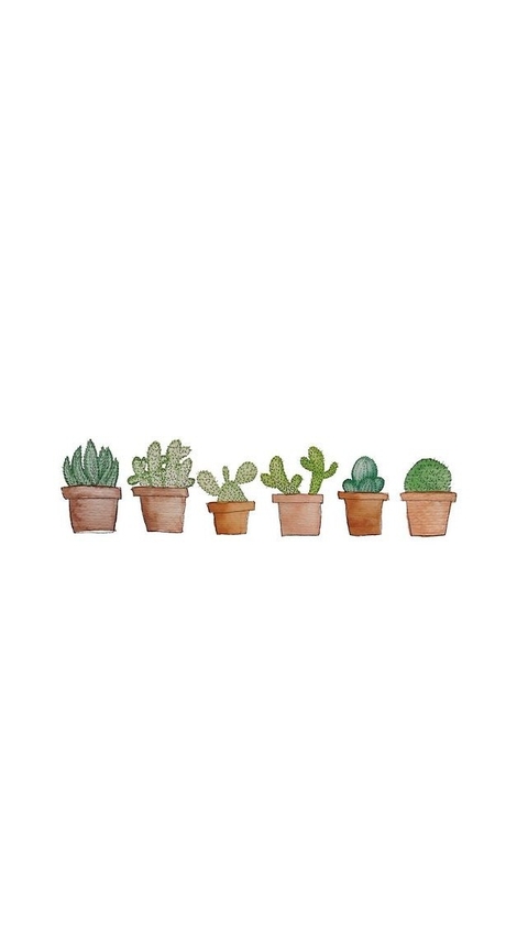 Cacti