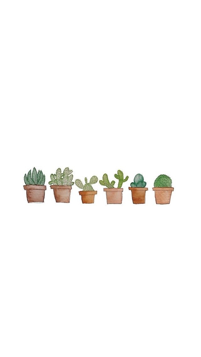 Cacti