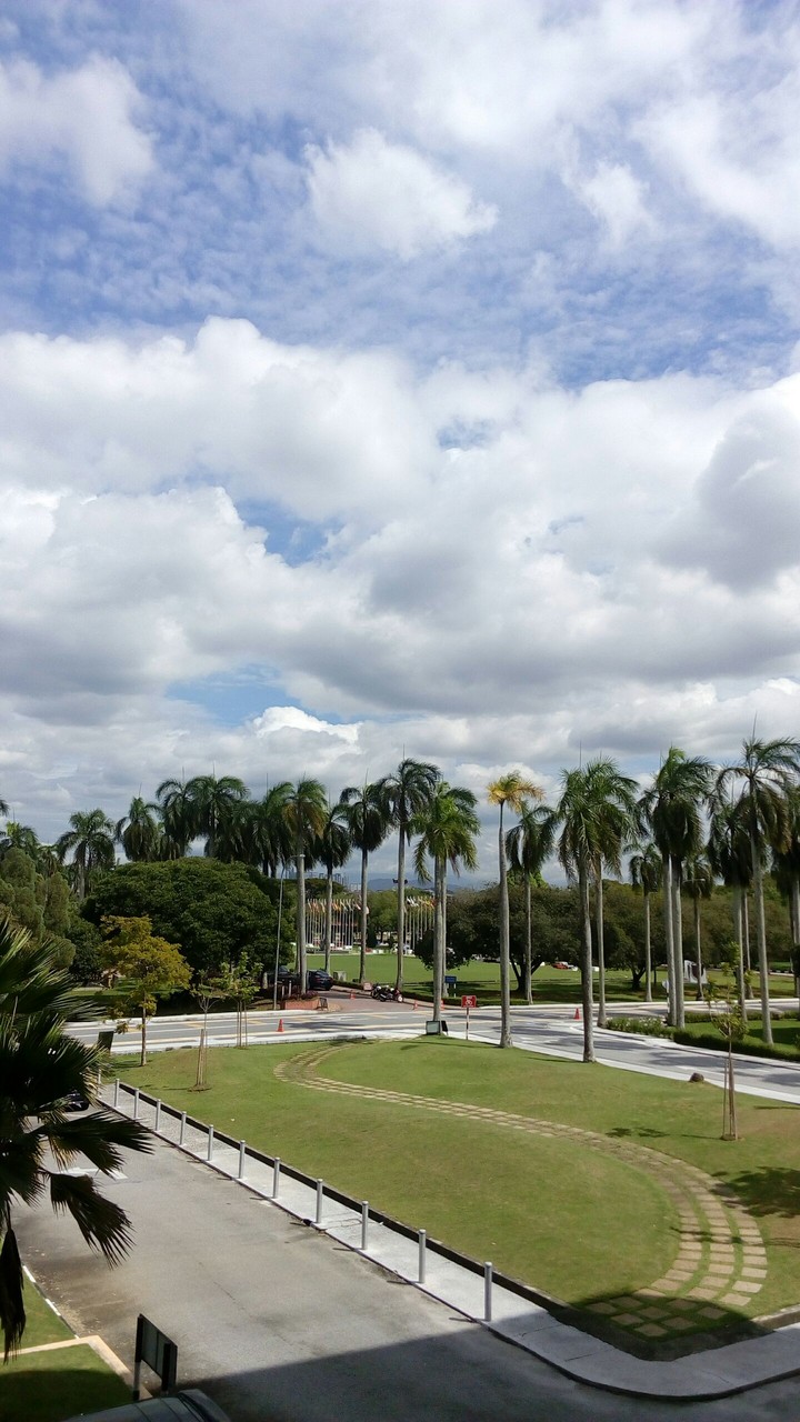 Sky