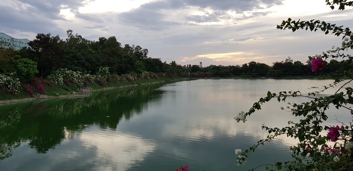 Serene