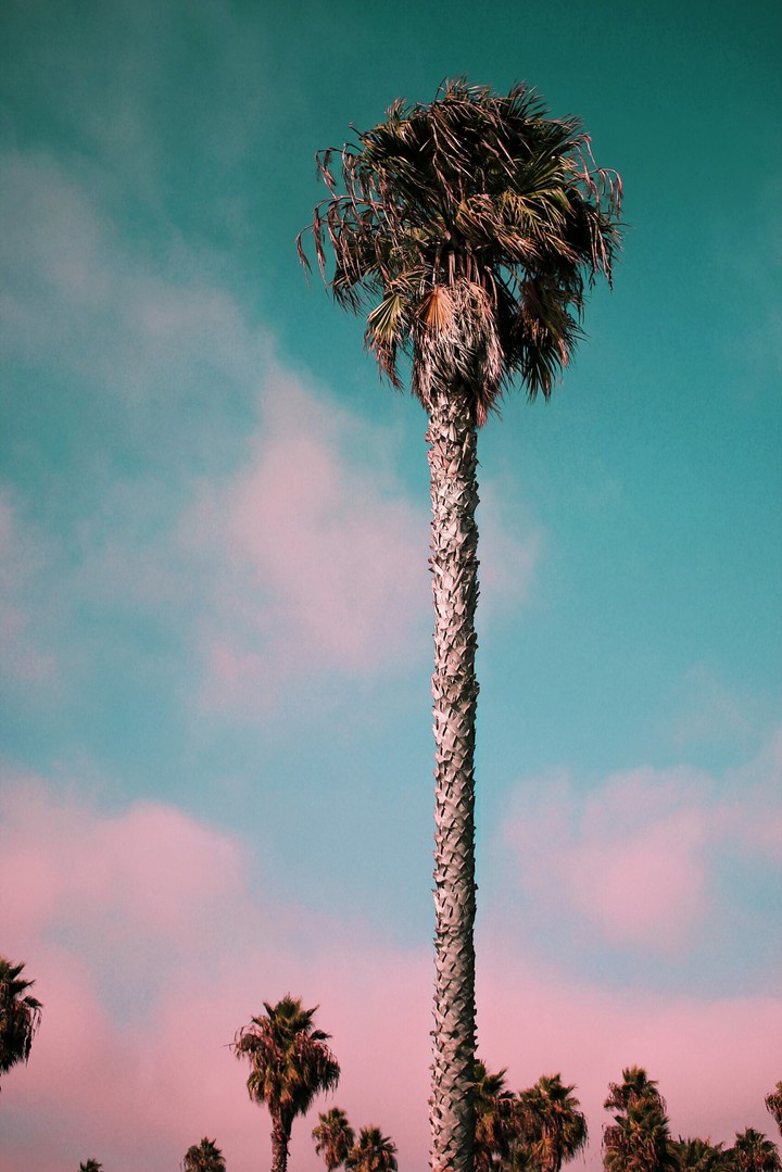 Paradise
