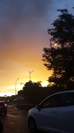 NoFILTER
