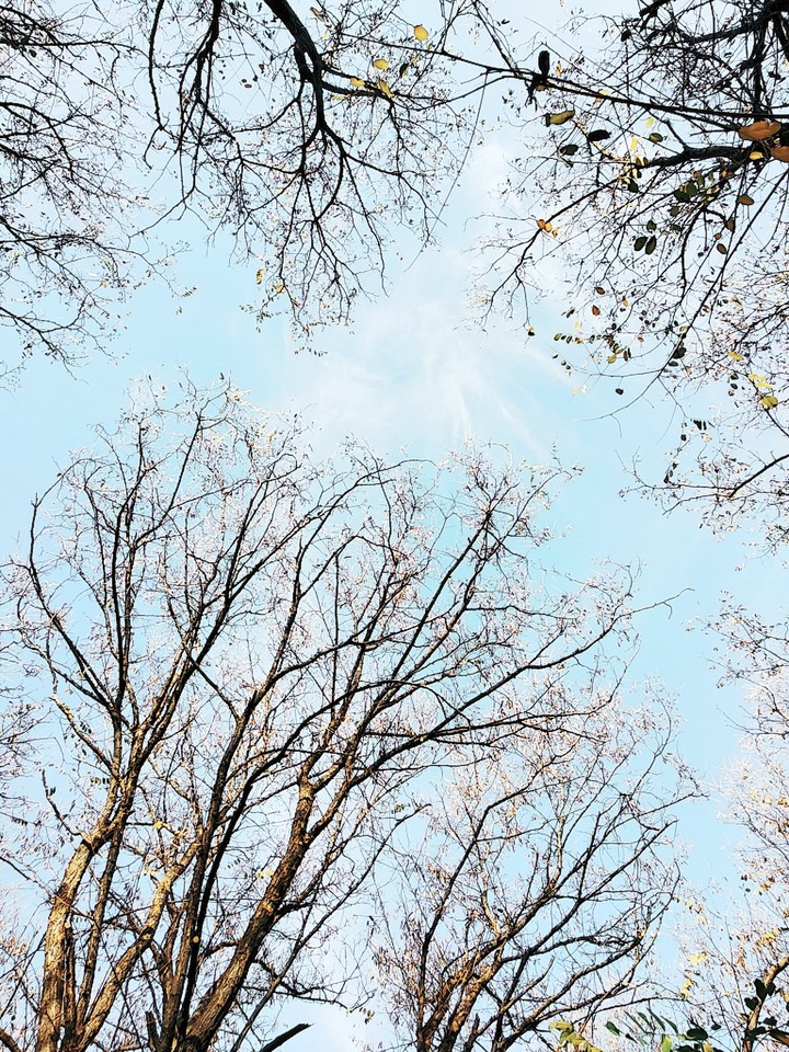 Blue sky