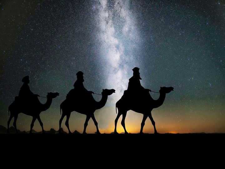 Camel Safari