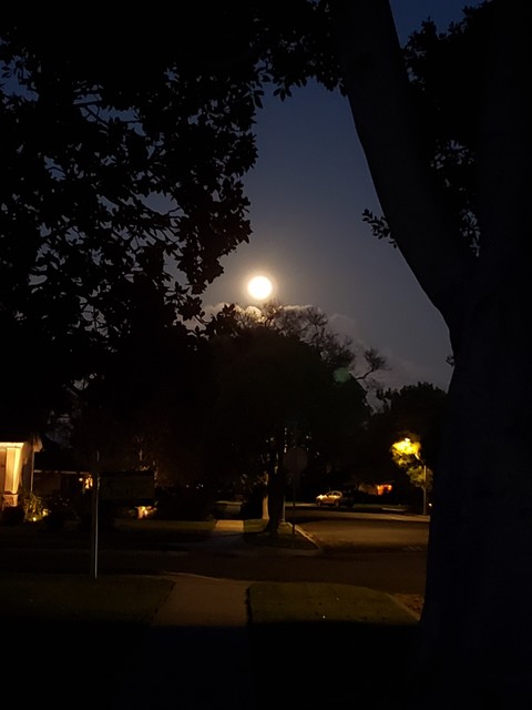 Worm Moon