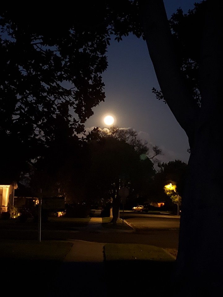 Worm Moon