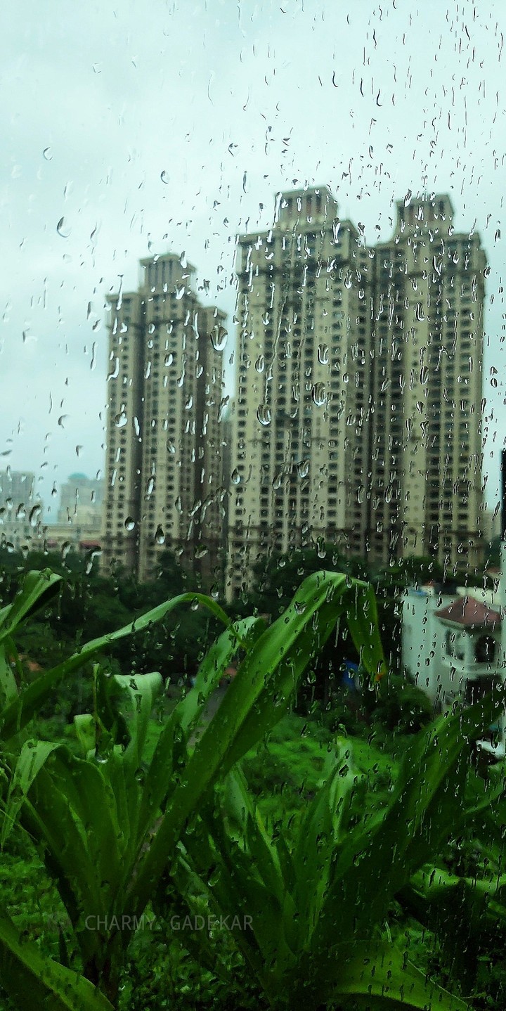 Monsoon vibes