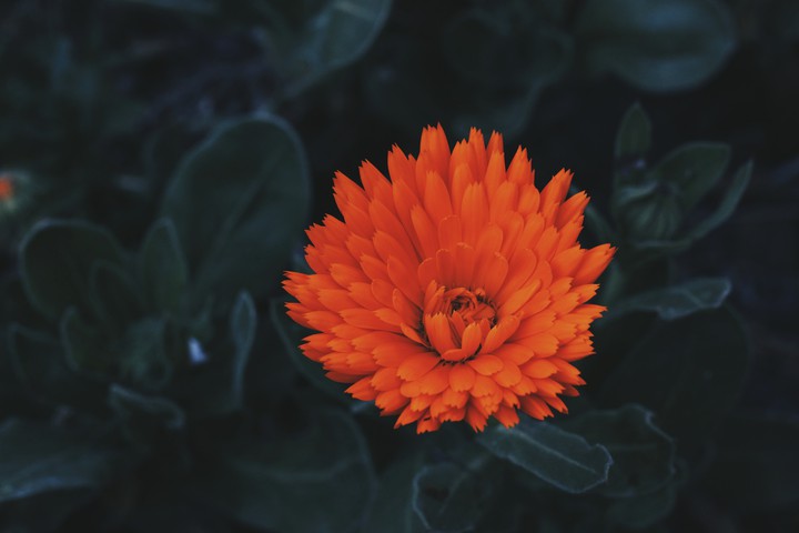 乁༼☯‿☯✿༽ㄏ