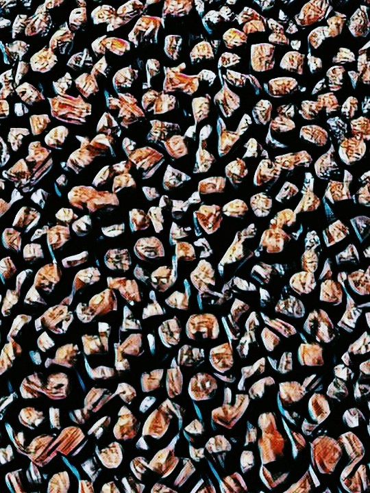 pieces of woods